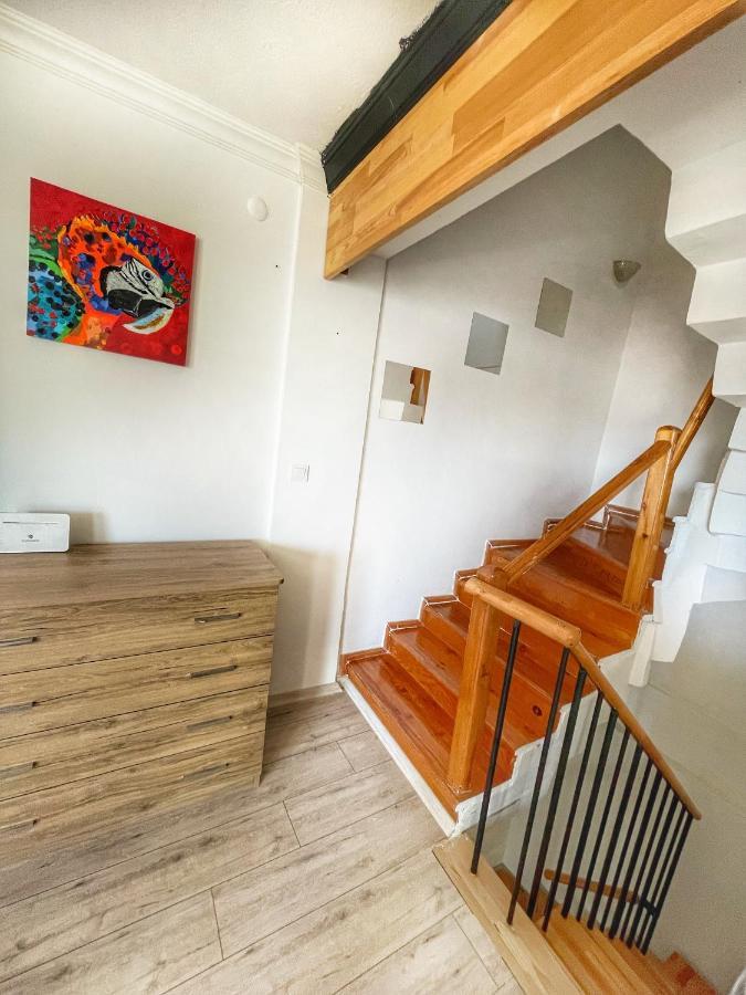 Albatros Sitesi Villa