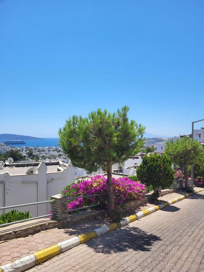 Albatros Sitesi