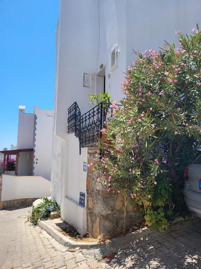Albatros Sitesi Villa